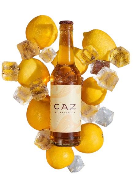 20251019 web aktuell CAZ Beitragsbild1