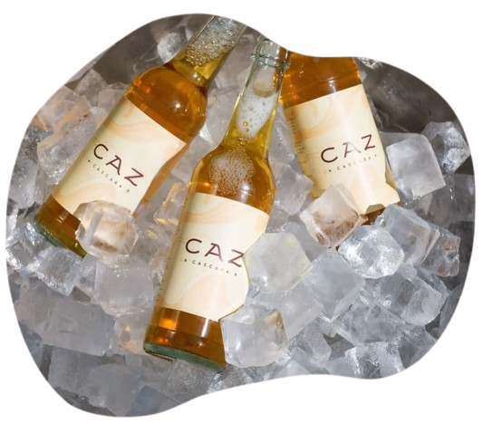 20251019 web aktuell CAZ Beitragsbild2