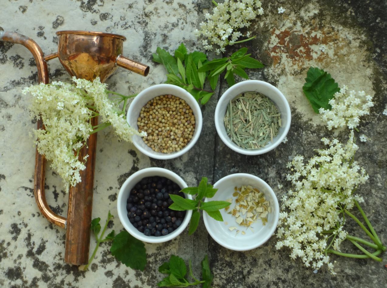 20251108 web aktuell bisbino amaro zutaten